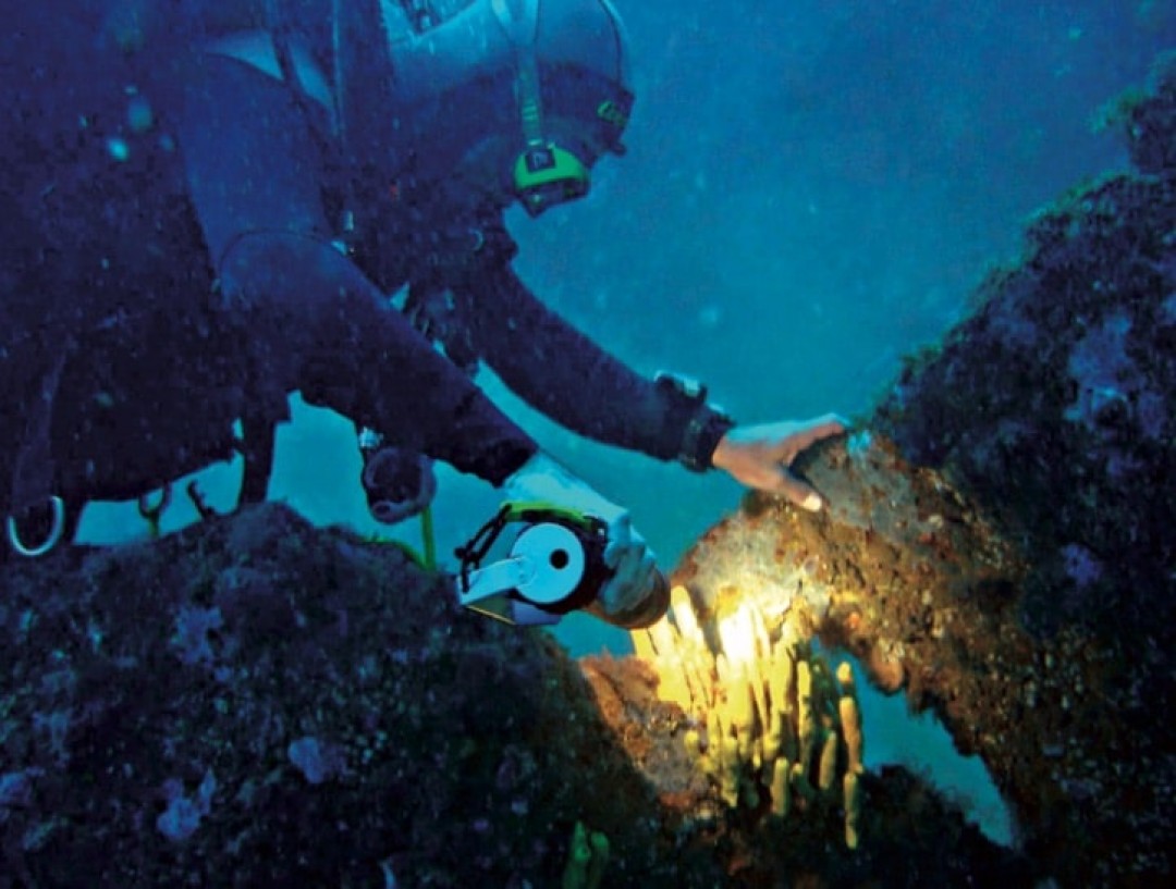 DIVING INTO HISTORY